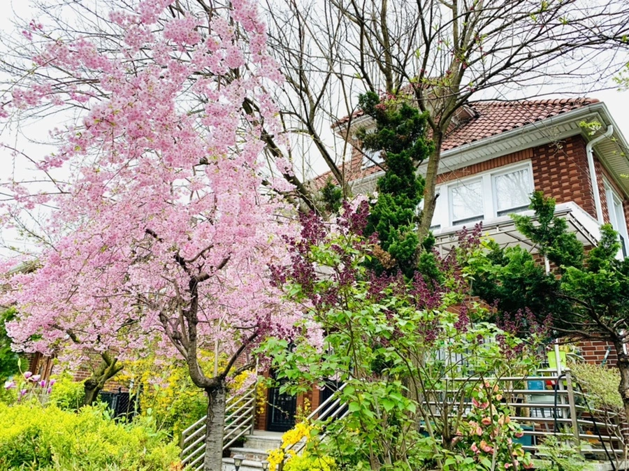 IMG_2137.jpg?type=w966