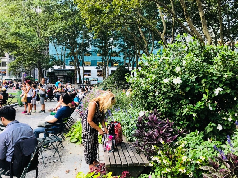 IMG_1609.jpg?type=w966