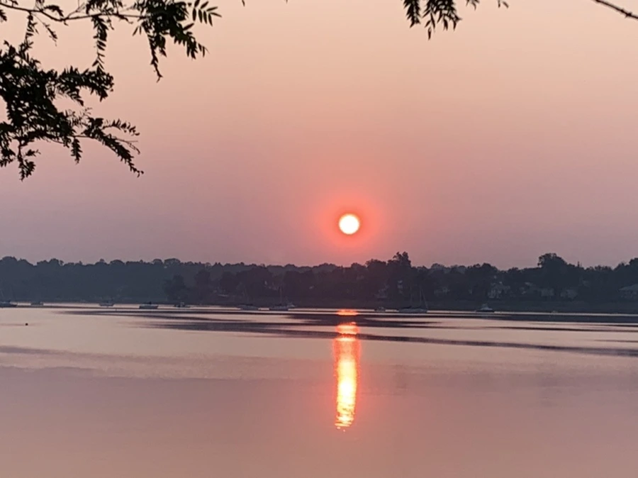 IMG_1969.jpg?type=w966