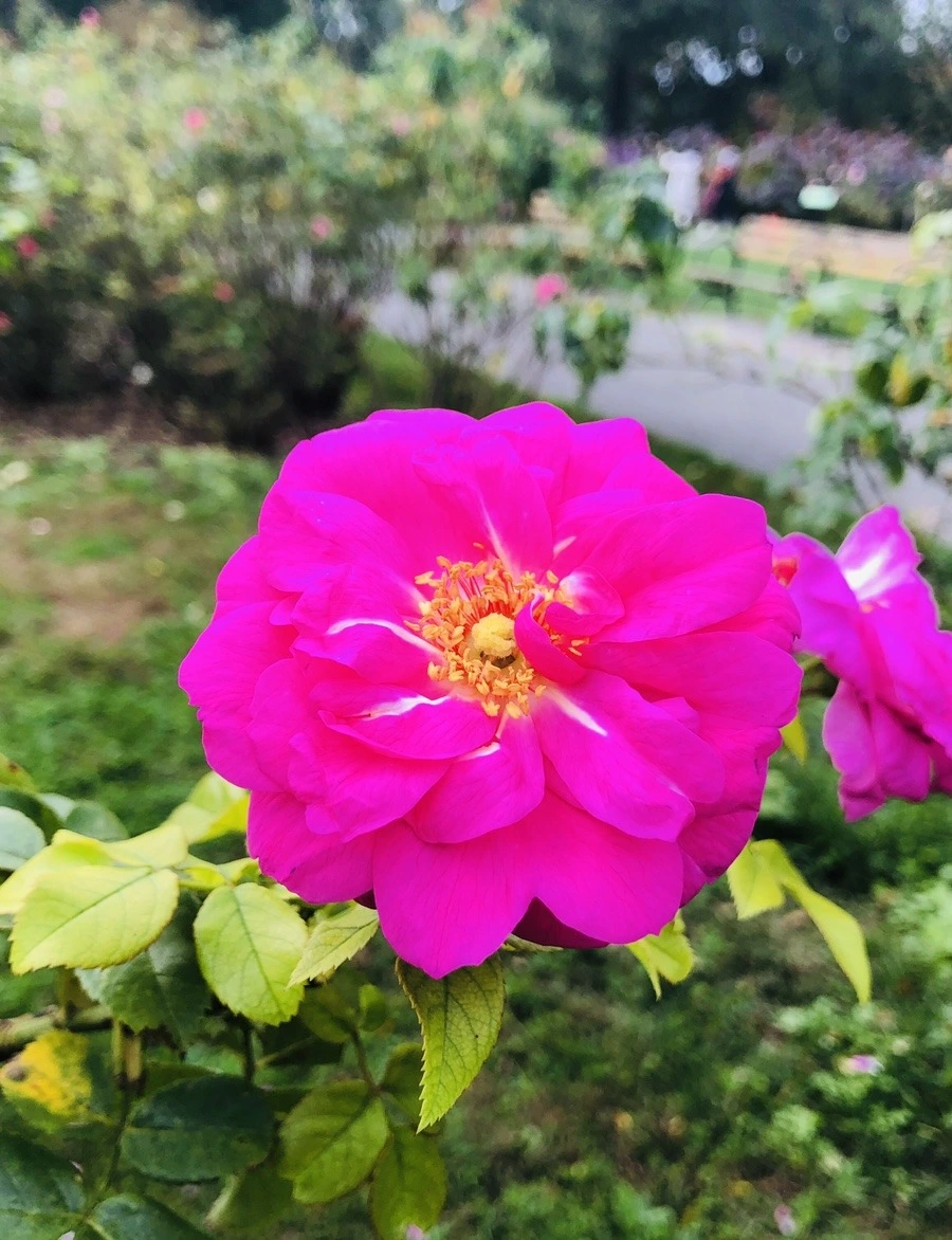 0mZ1HACbcMrtShgRS82Z_nzeasg