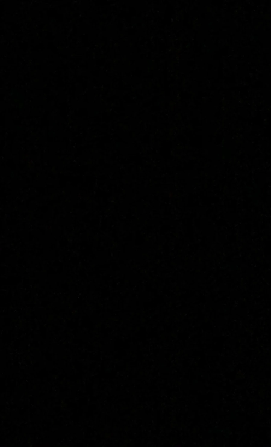 IMG_0154.jpg?type=w966