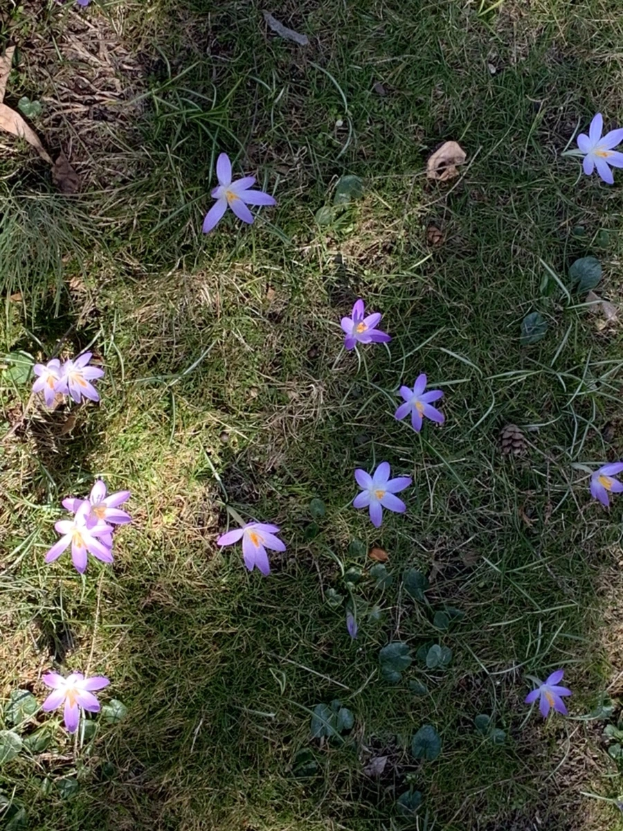 IMG_9202.jpg?type=w966