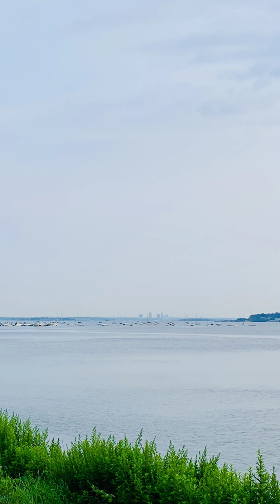 IMG_1585.jpg?type=w966