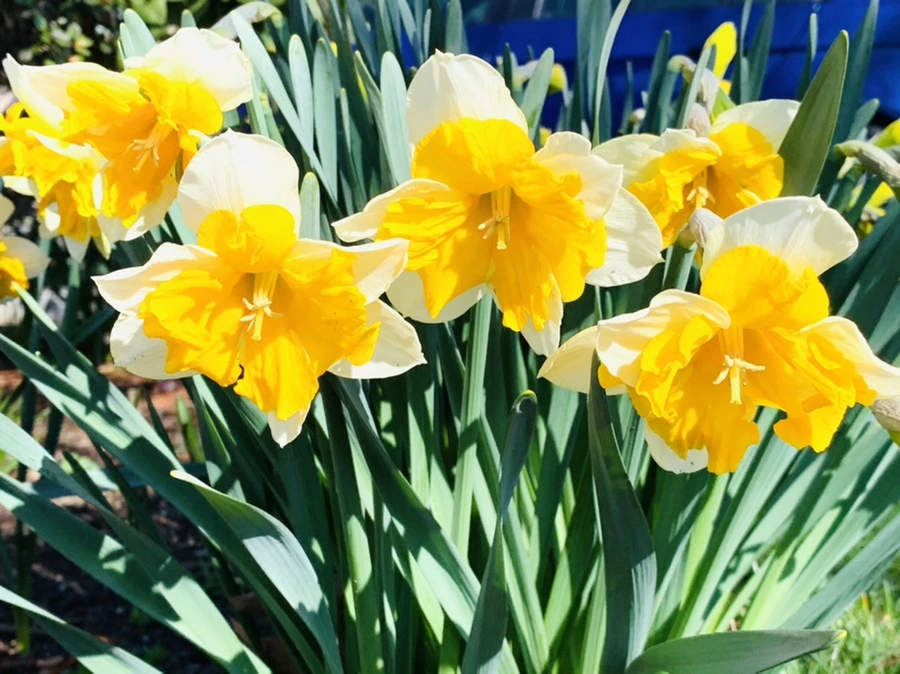 IMG_7575.jpg?type=w966