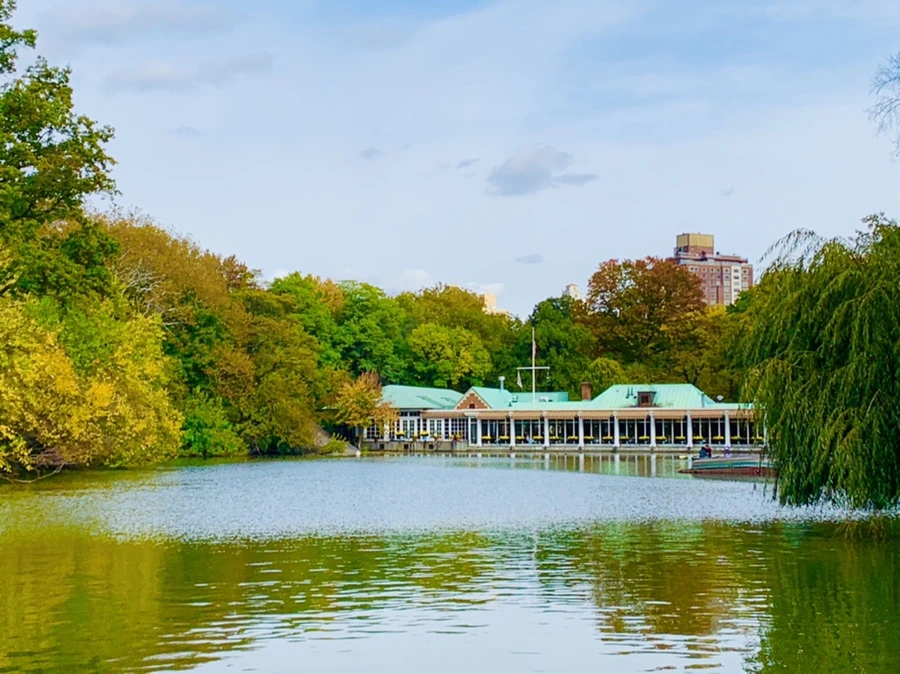 IMG_0152.jpg?type=w966