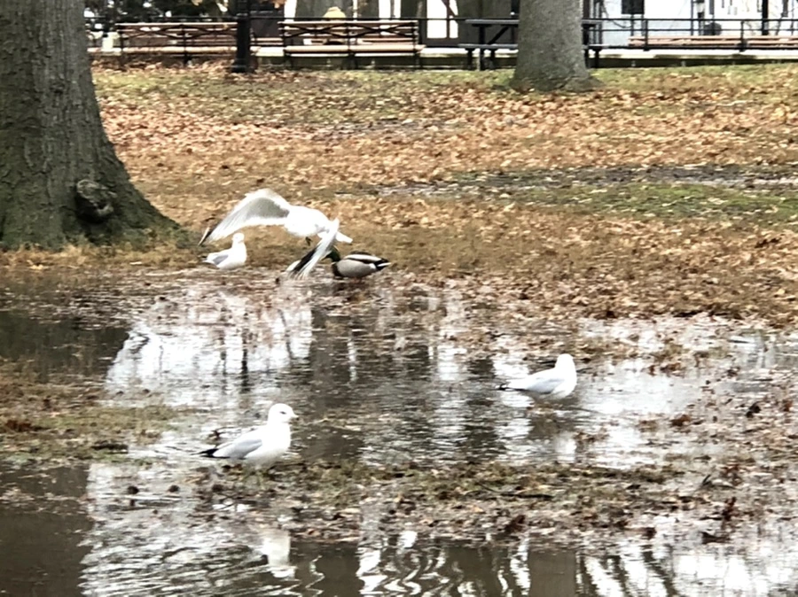 IMG_9404.jpg?type=w966