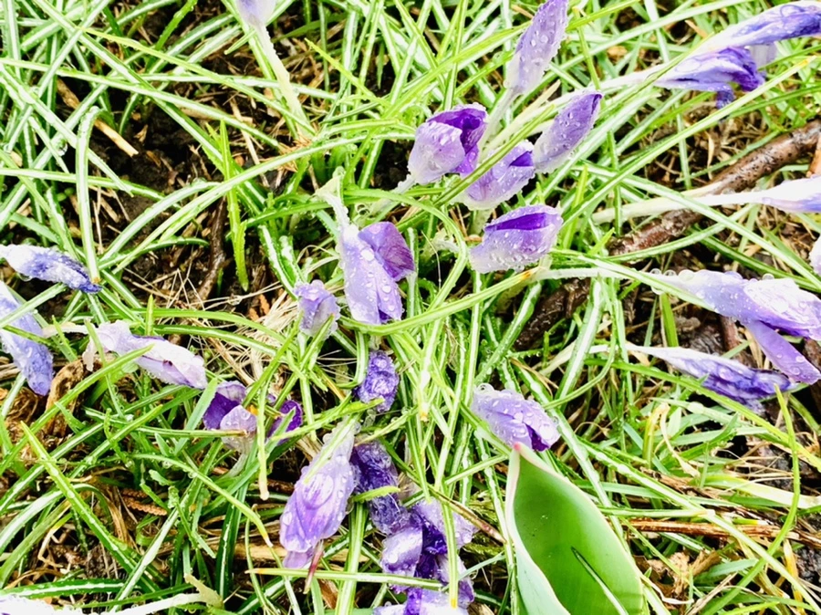 IMG_2011.jpg?type=w966