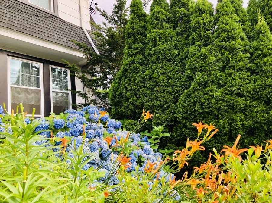 IMG_1387.jpg?type=w966