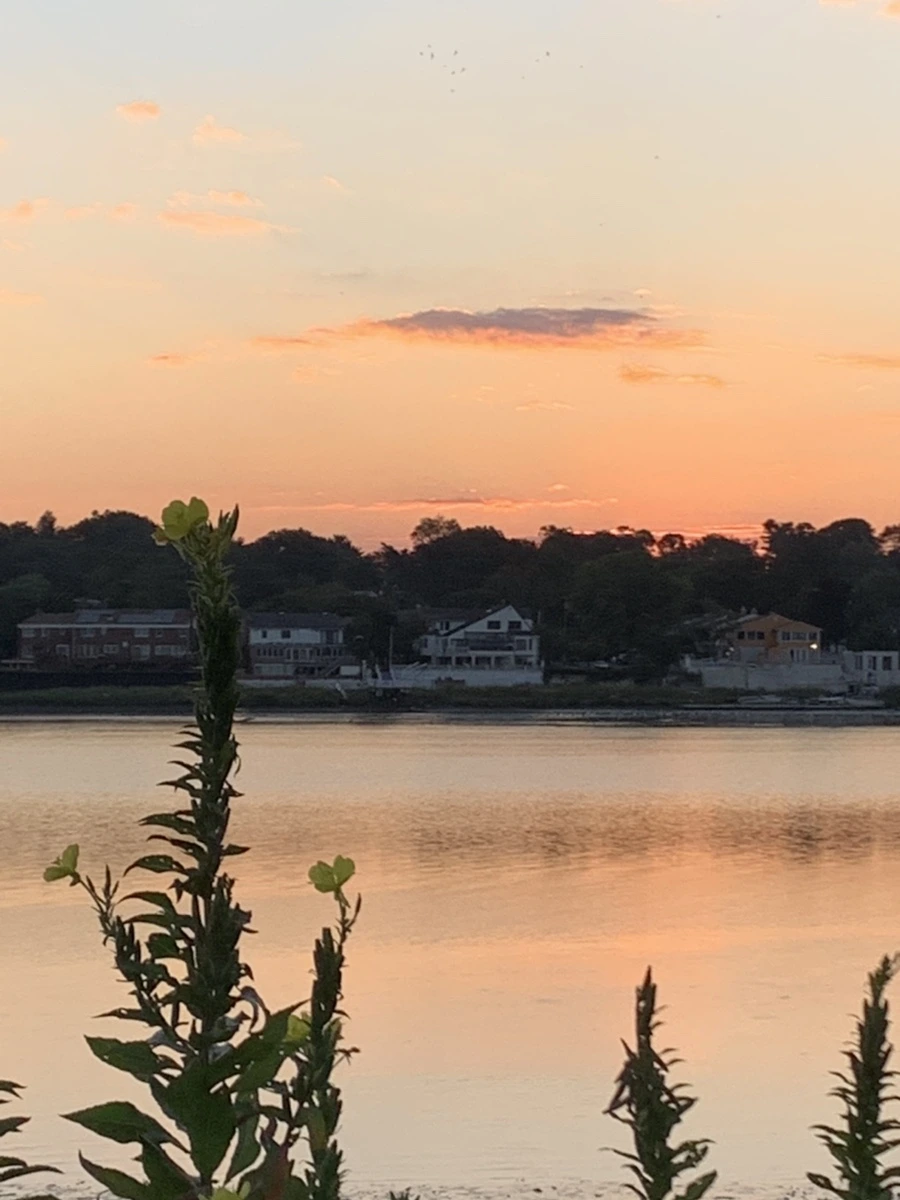 IMG_8832.jpg?type=w966