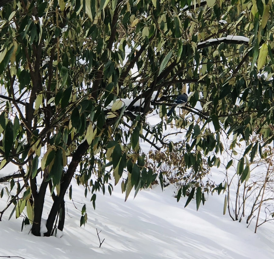 IMG_9112.jpg?type=w966