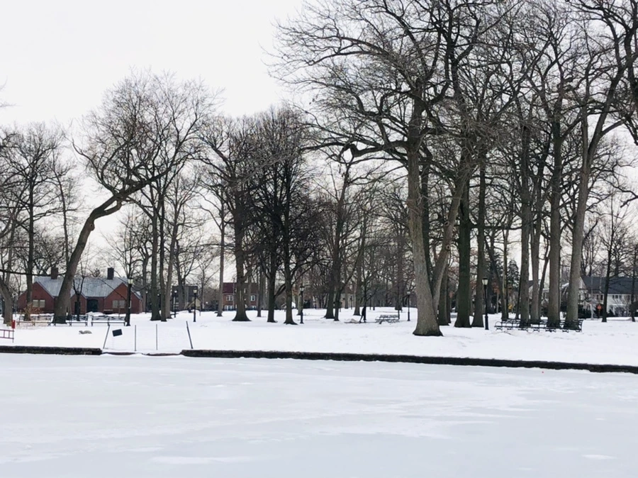 IMG_4384.jpg?type=w966