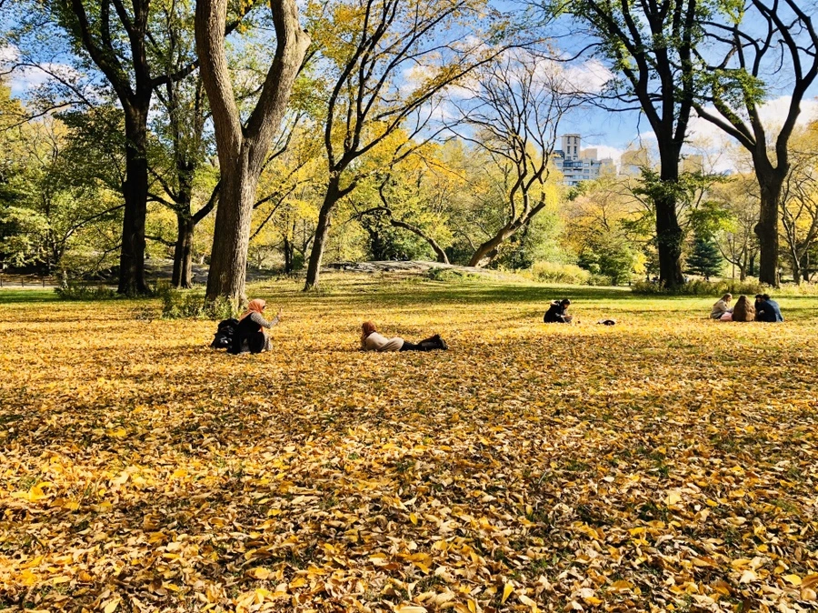 IMG_1778.jpg?type=w966