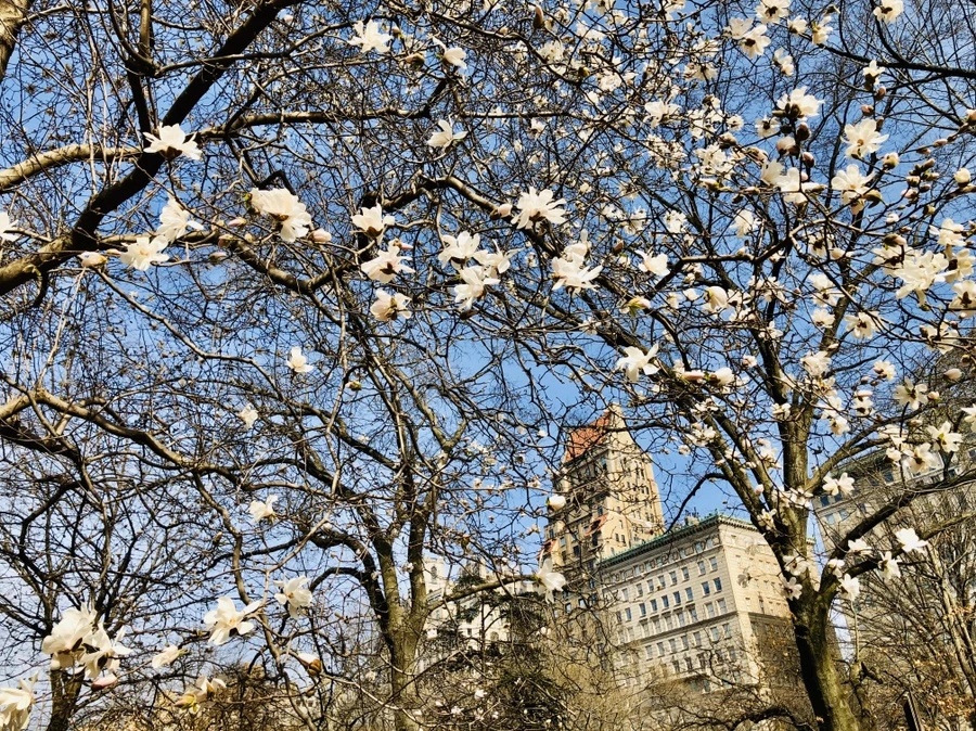 IMG_6484.jpg?type=w966