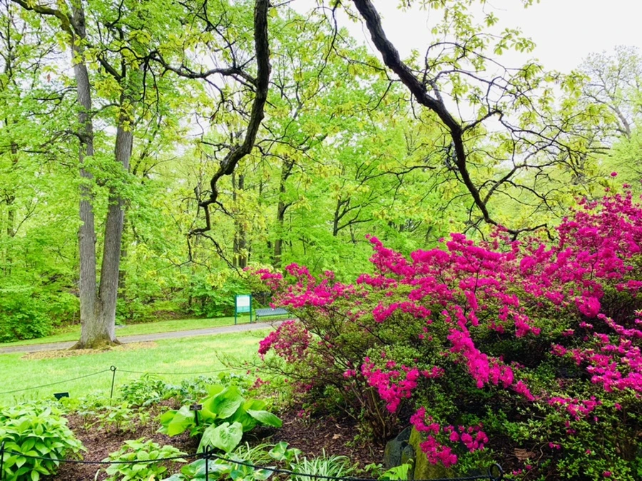 IMG_9918.jpg?type=w966