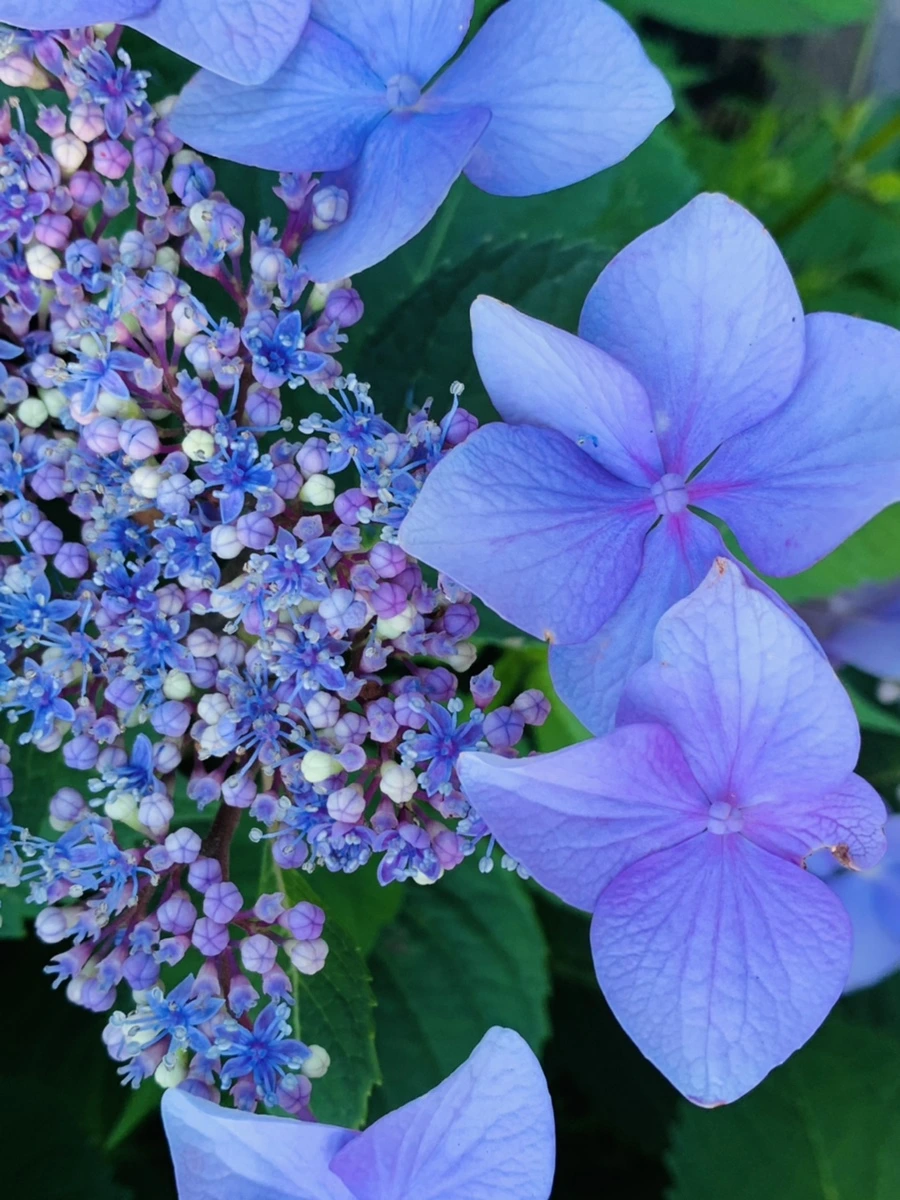 IMG_6283.jpg?type=w966