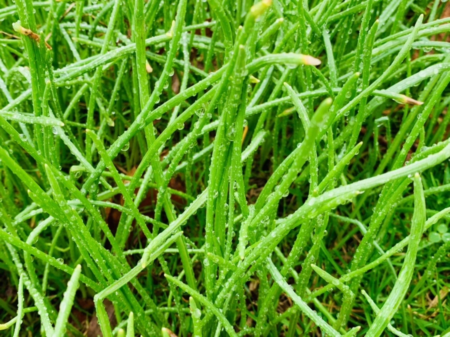 IMG_5037.jpg?type=w966