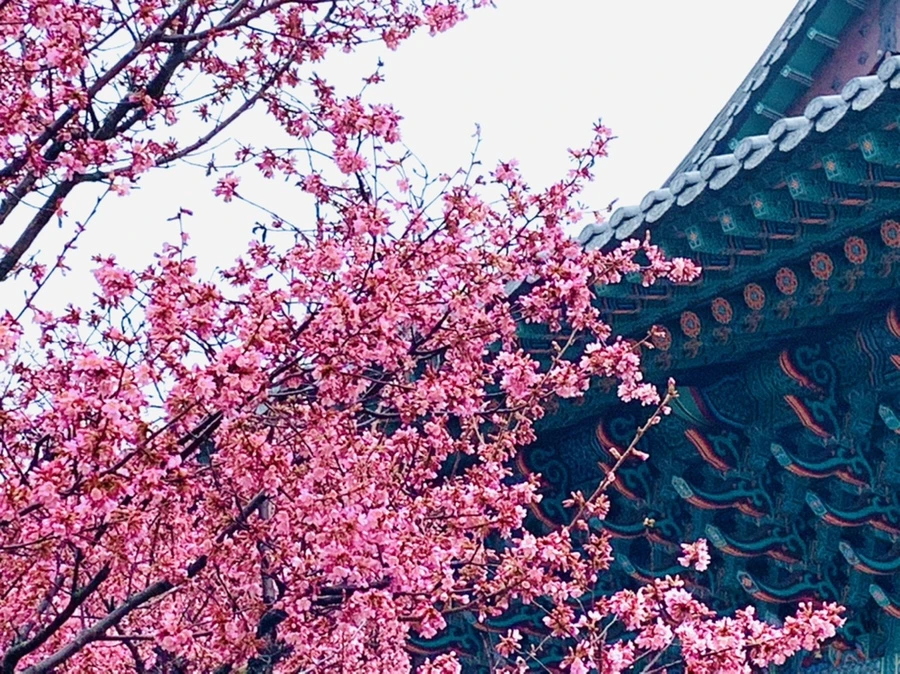 IMG_5255.jpg?type=w966