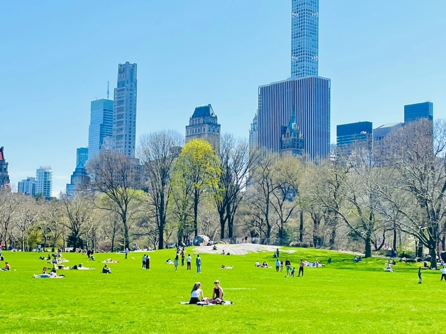 IMG_0650.jpg?type=w966