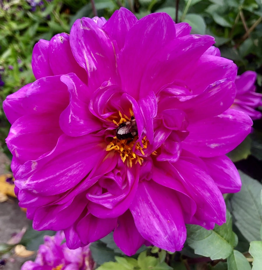 IMG_2048.jpg?type=w966