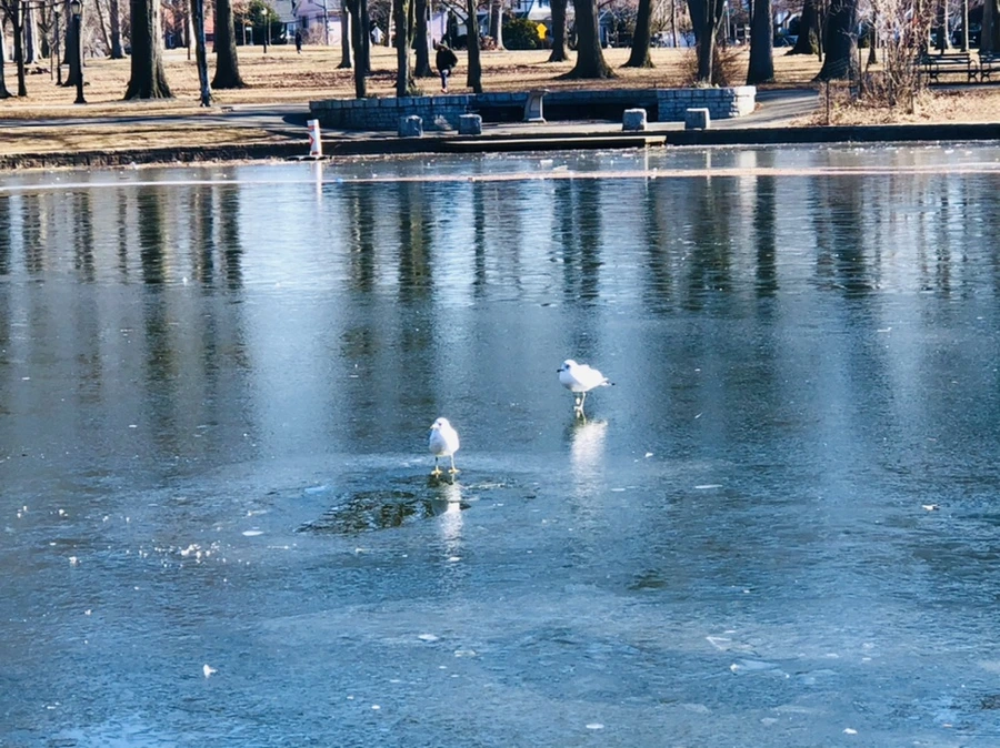 IMG_7788.jpg?type=w966