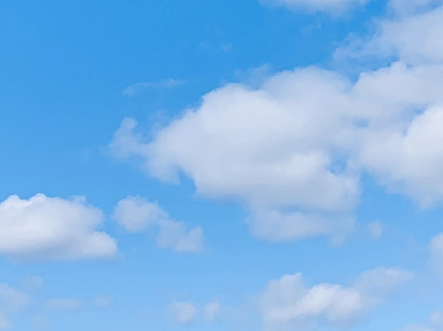 IMG_7453.jpg?type=w966