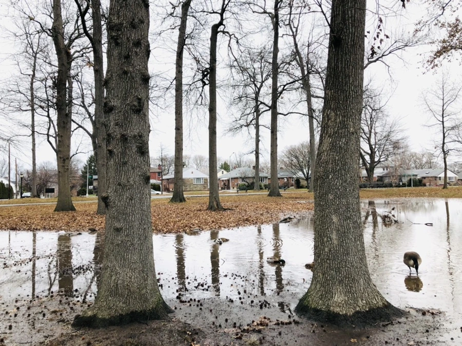 IMG_9535.jpg?type=w966