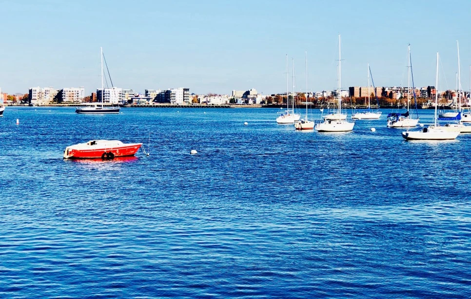 IMG_E1488_2.jpg?type=w966