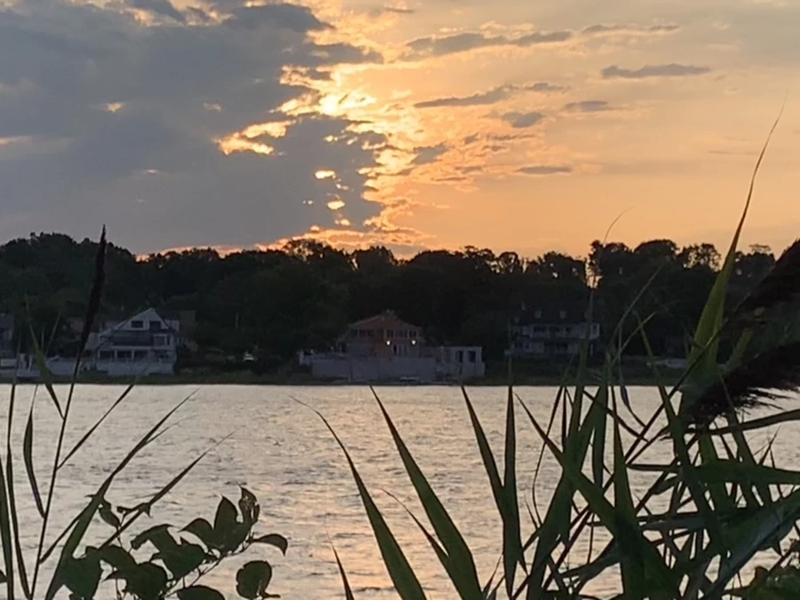 IMG_1768.jpg?type=w966