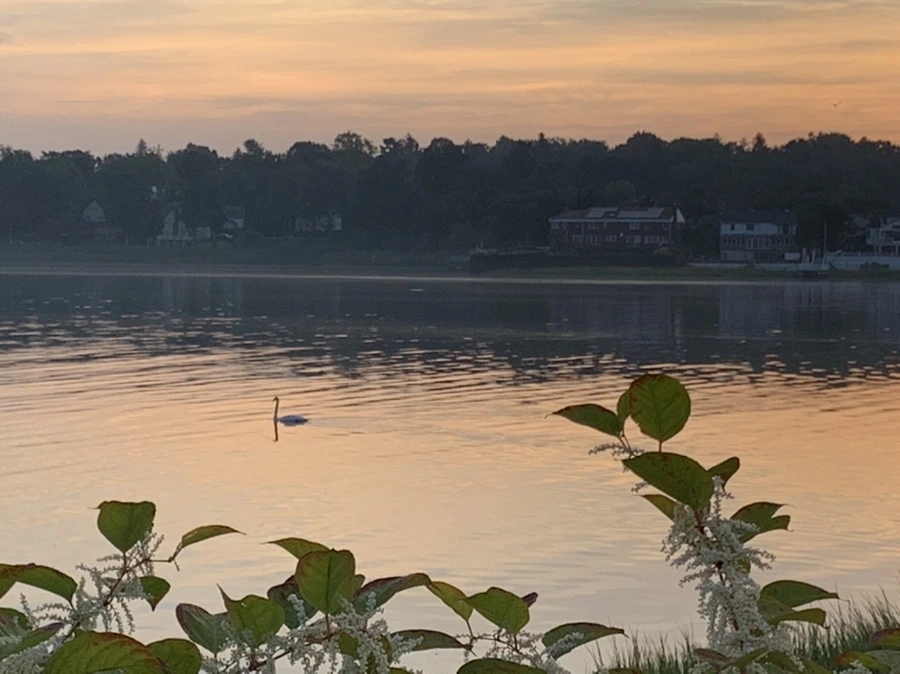 IMG_6832.jpg?type=w966