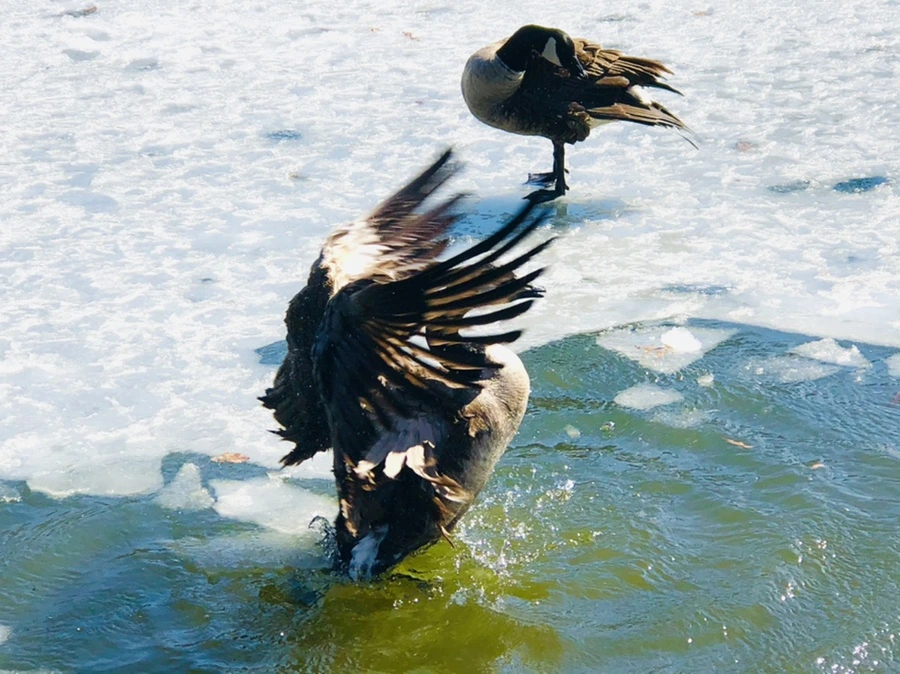 IMG_5293.jpg?type=w966