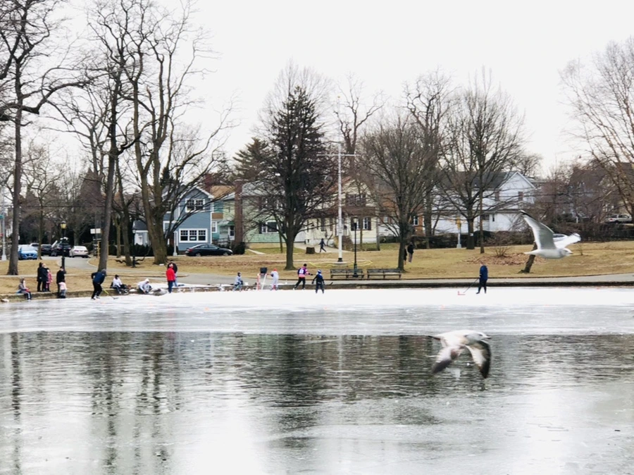 IMG_8765.jpg?type=w966