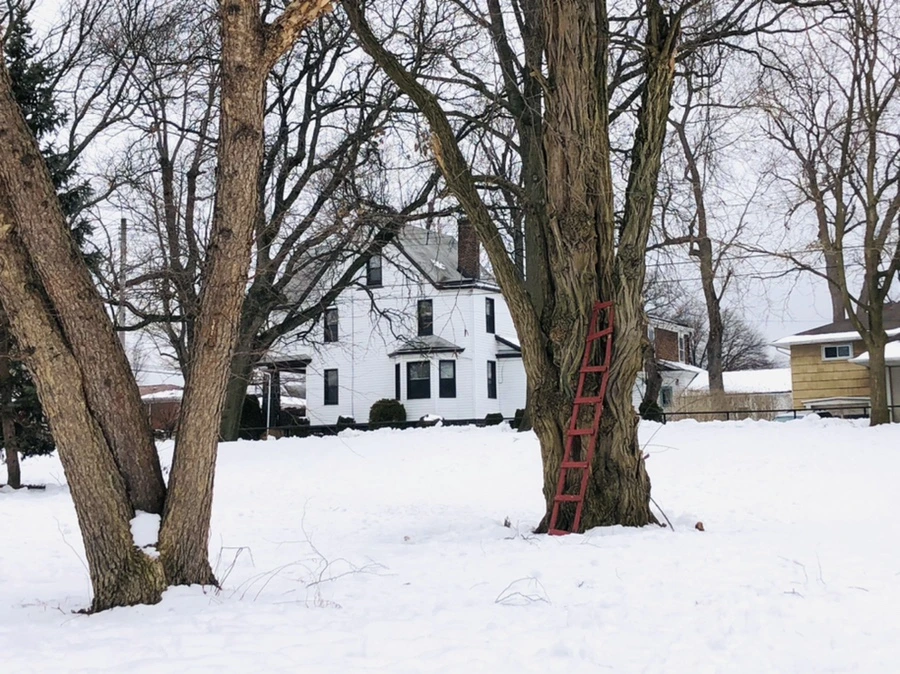 IMG_2711.jpg?type=w966