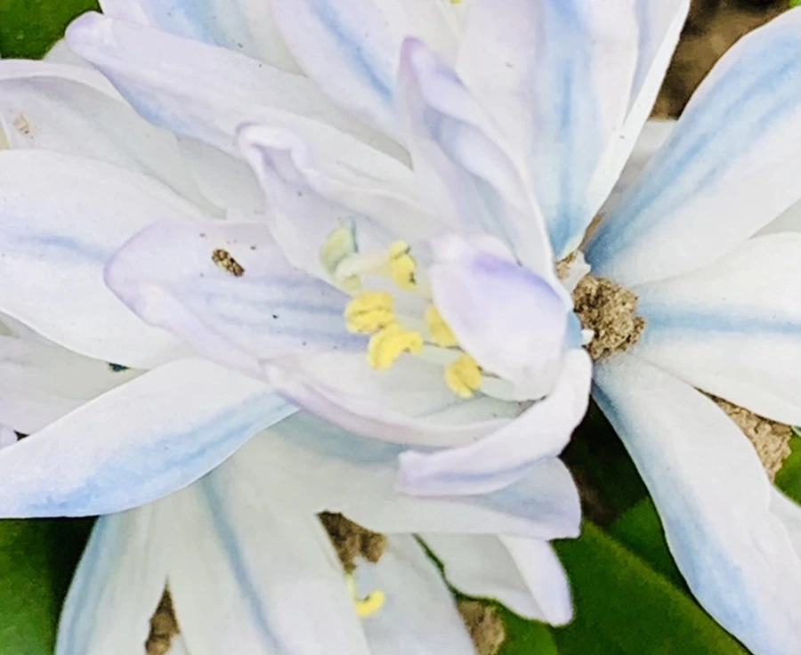 IMG_1713.jpg?type=w966