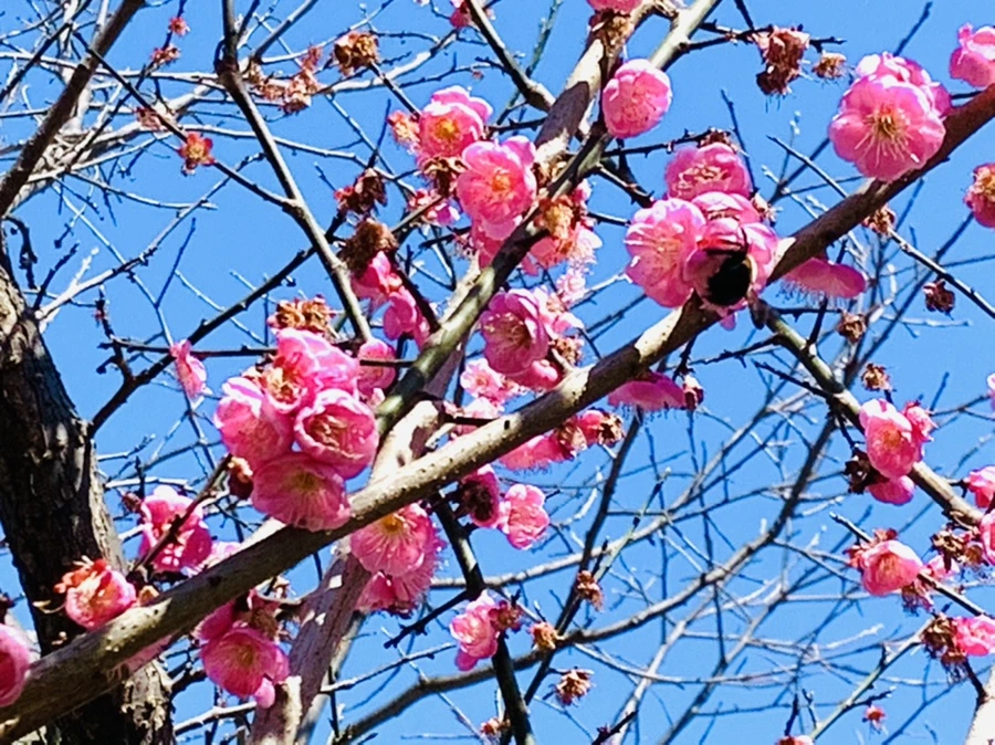 IMG_7816.jpg?type=w966