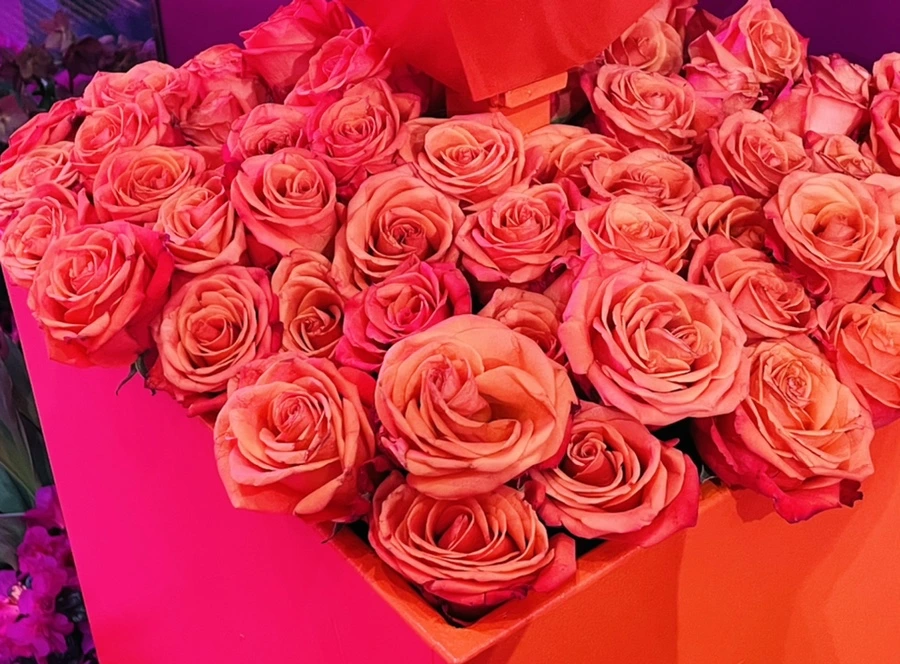 IMG_7734.jpg?type=w966