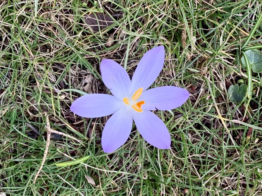 IMG_9233.jpg?type=w966