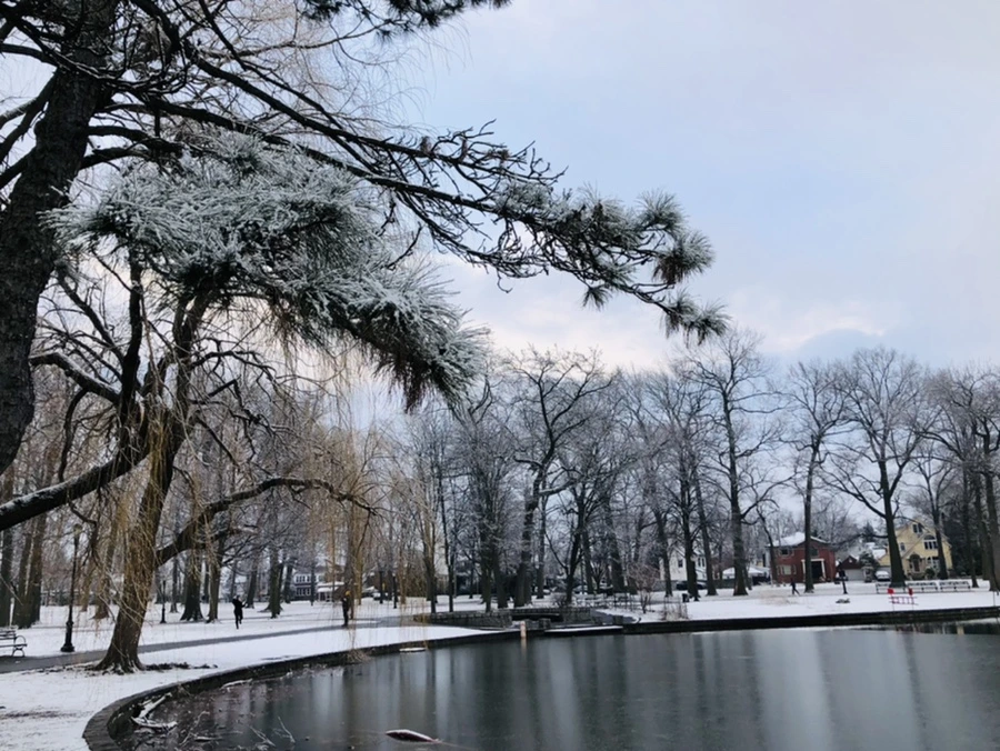 IMG_4514.jpg?type=w966