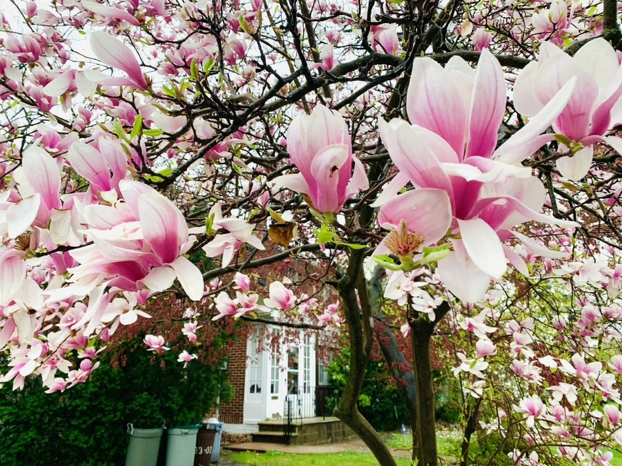 IMG_2345.jpg?type=w966