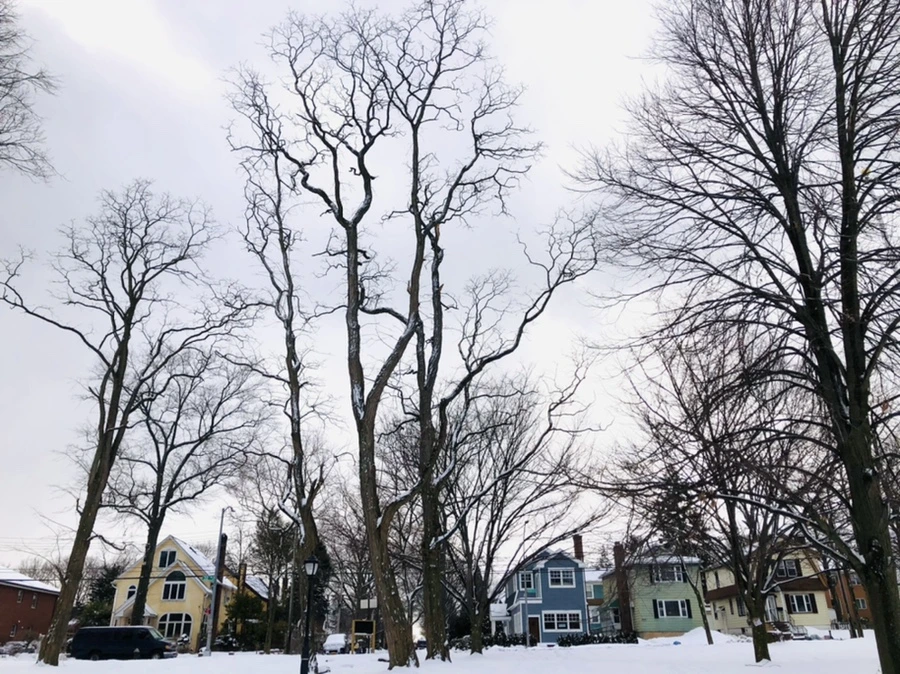 IMG_3886.jpg?type=w966