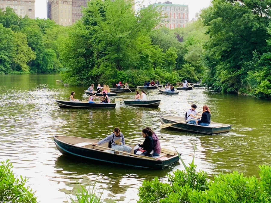 IMG_3425.jpg?type=w966