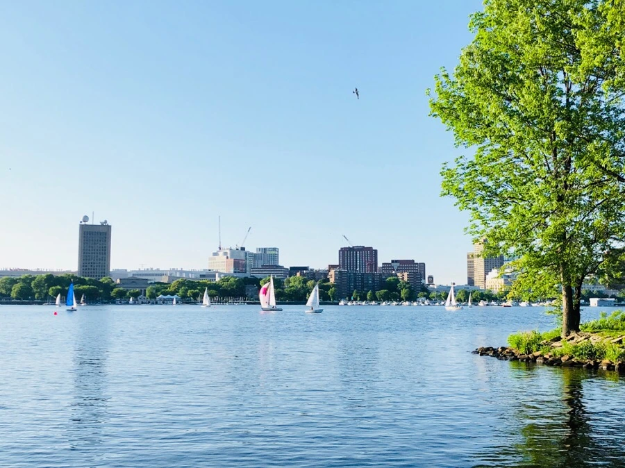 IMG_6775.jpg?type=w966