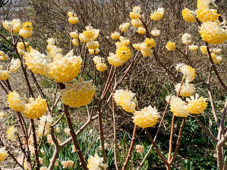 IMG_5796.jpg?type=w966