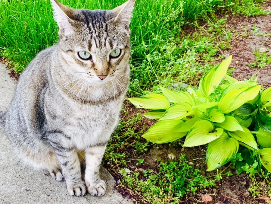 IMG_9164.jpg?type=w966