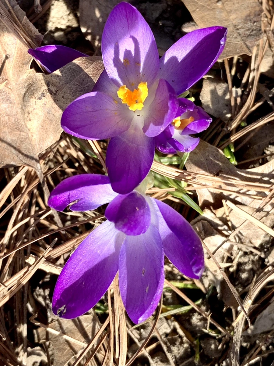 IMG_9640.jpg?type=w966