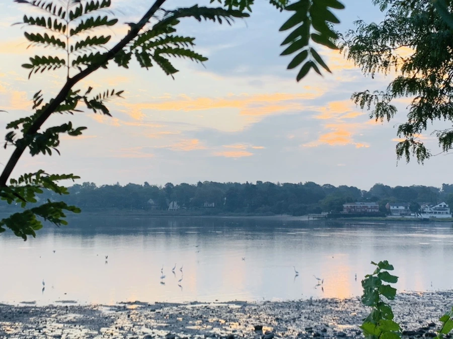 IMG_8204.jpg?type=w966