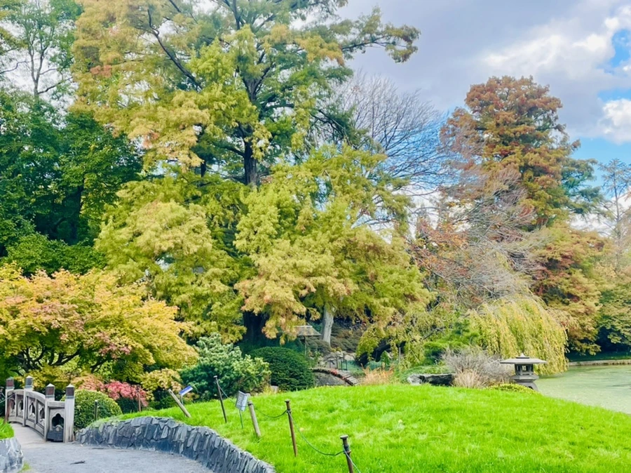 IMG_0203.jpg?type=w966