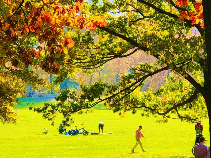 IMG_4341.jpg?type=w966