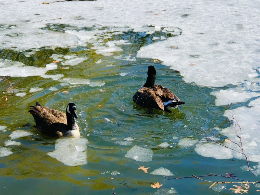 IMG_5130.jpg?type=w966