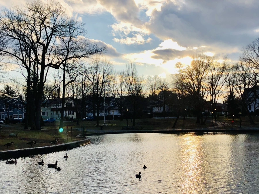 IMG_4410.jpg?type=w966