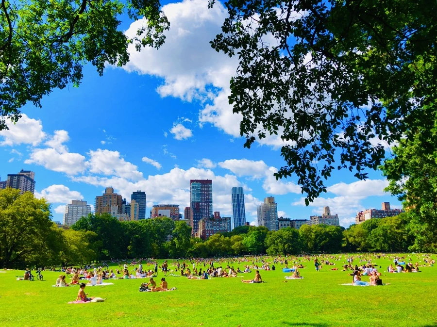 IMG_8862.jpg?type=w966